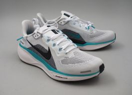 NEU! NIKE Pegasus Trail 5 GTX Gr. 42 (25042344)