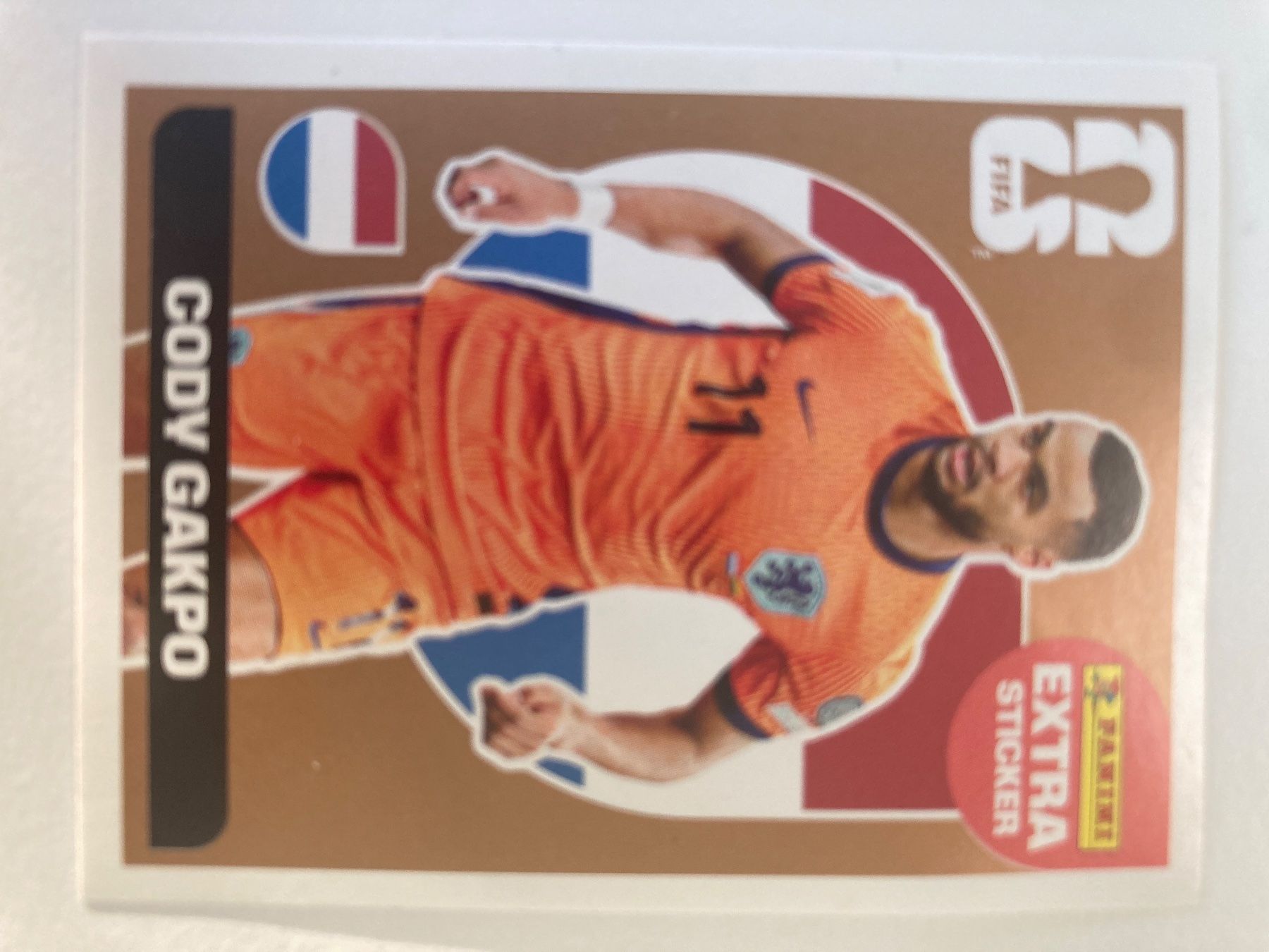 Panini Cartes à collectionner: Panini Fifa 2026 extra sticker – D'occasion à Olten par chr1gl