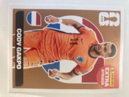 Panini Fifa 2026 extra sticker