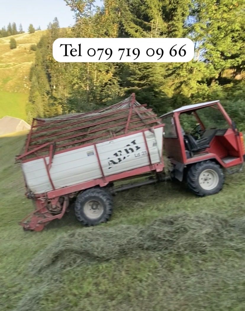 Aebi Tutte le macchine: Aebi Ladewagen LD 31 K – Usato da Trub venduto da Bersu02 2