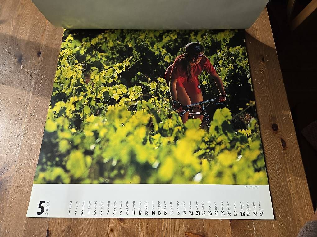 Calendari: Vintage MTB Kalender 1995 – Usato da Biel/Bienne venduto da Rouf7 4