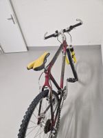 Arrow Head carbon Retro MTB Rahmen grosse 48 cm.