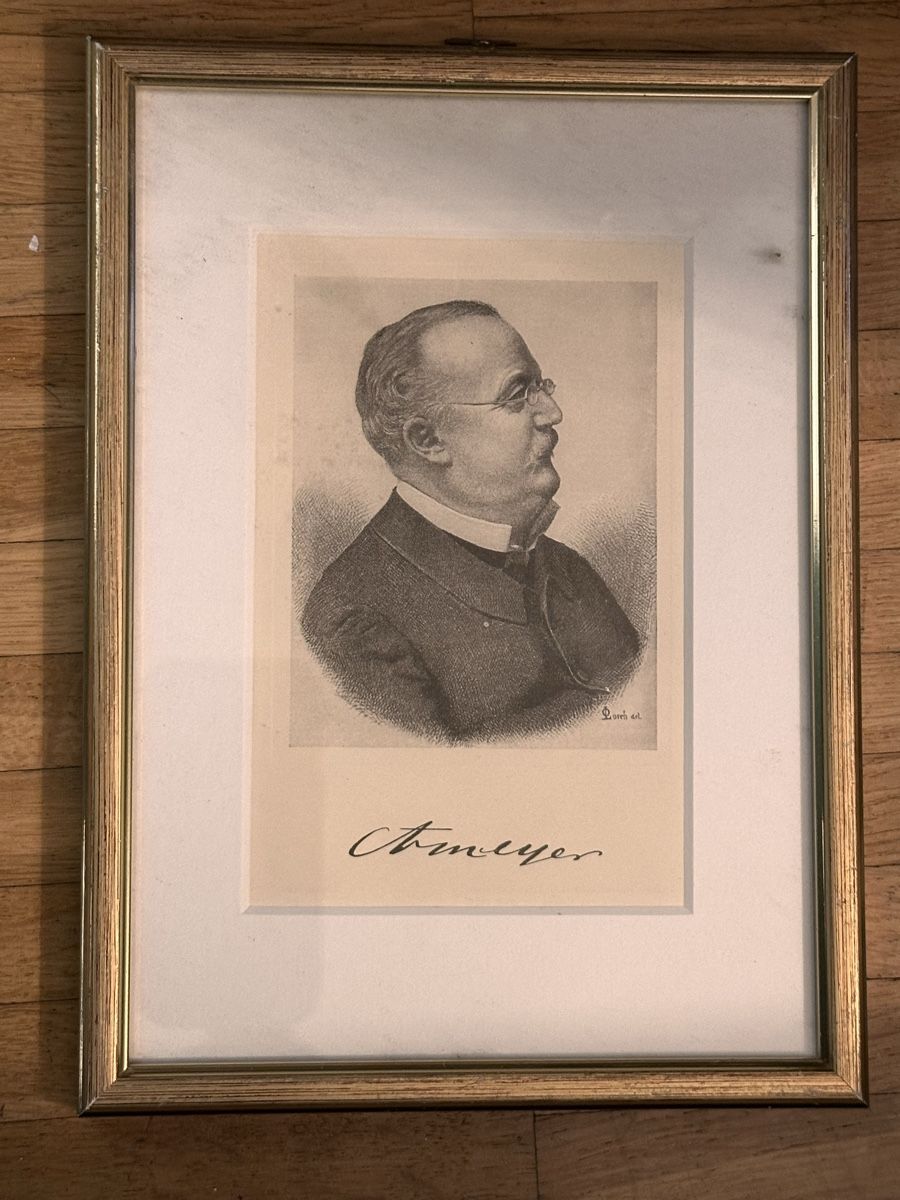 Stiche: Stich - C.F. Meyer – Gebraucht aus Zürich von marusapulmi