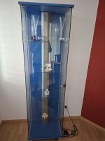 Vitrine blau, Glas, 5 Einlegeböden, beleuchtet, Top Zustand
