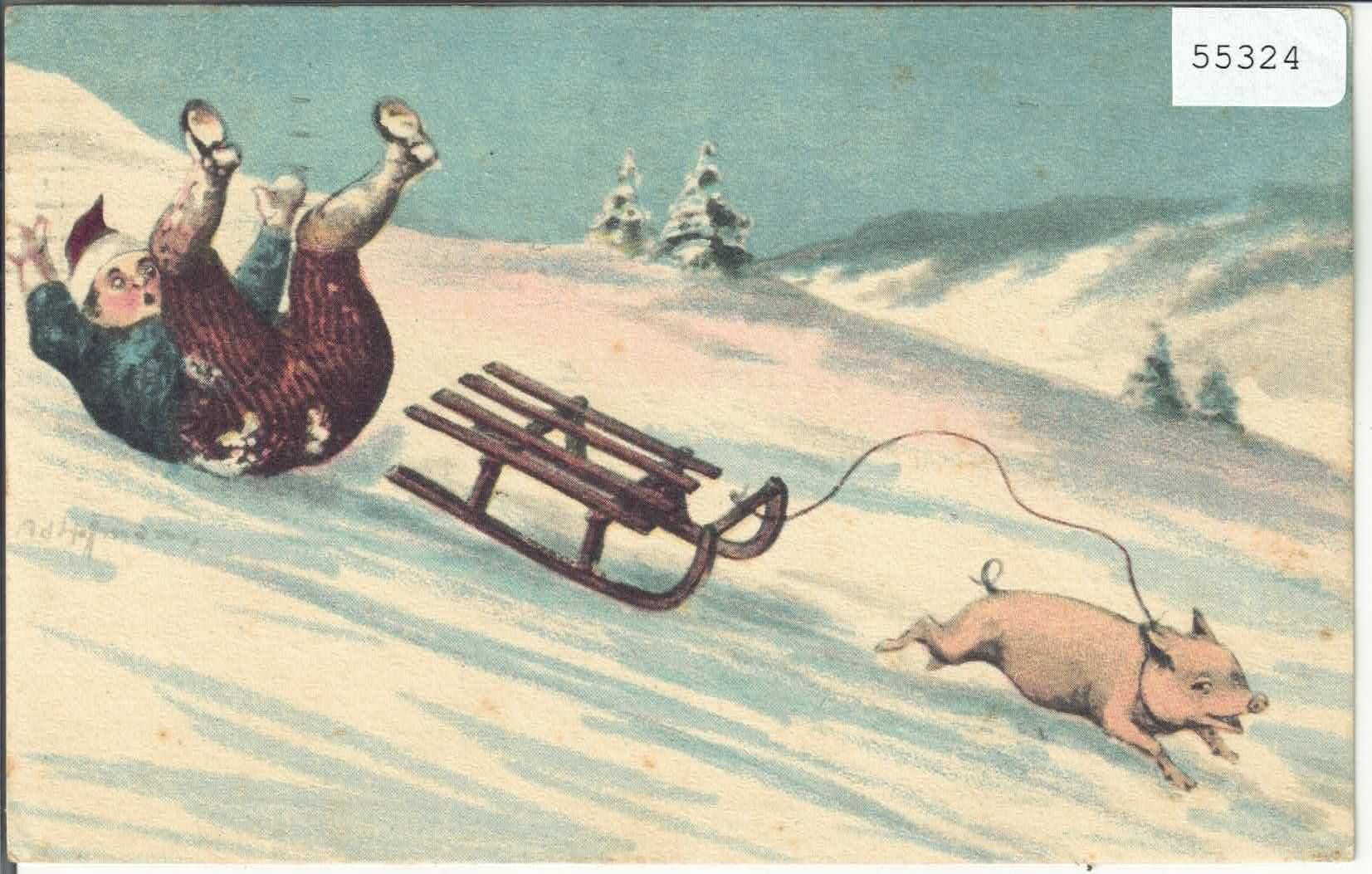 Cartes postales: Schlitteln mit dem Schwein – D'occasion à Ettingen par Kartenplanet