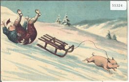 Schlitteln mit dem Schwein