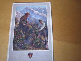 No 10 antike Postkarte SCHUL ab nur 75 RP