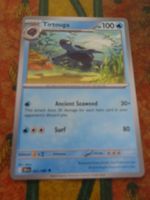 POKEMON  Tirtouga  I  BLK EN  022/086  HP100  2025