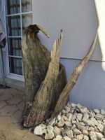 Einzigartiges Stück Eichen Wurzelholz für Garten oder Deko