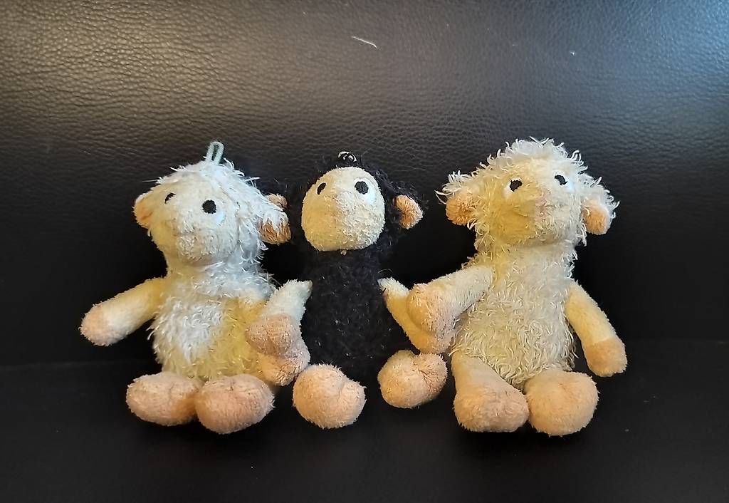 Spielzeuge: Kleine Schafe Stofftiere – Gebraucht aus Kehrsatz von BPortmannn
