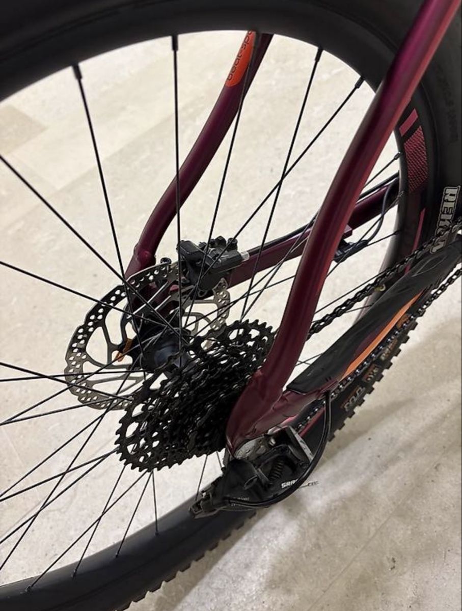 Scott Velos: Scott E-Contessa Scale 730 E-Bike  Bosch CX, 500Wh – Gebraucht aus Triesen von ValDeMer85 4
