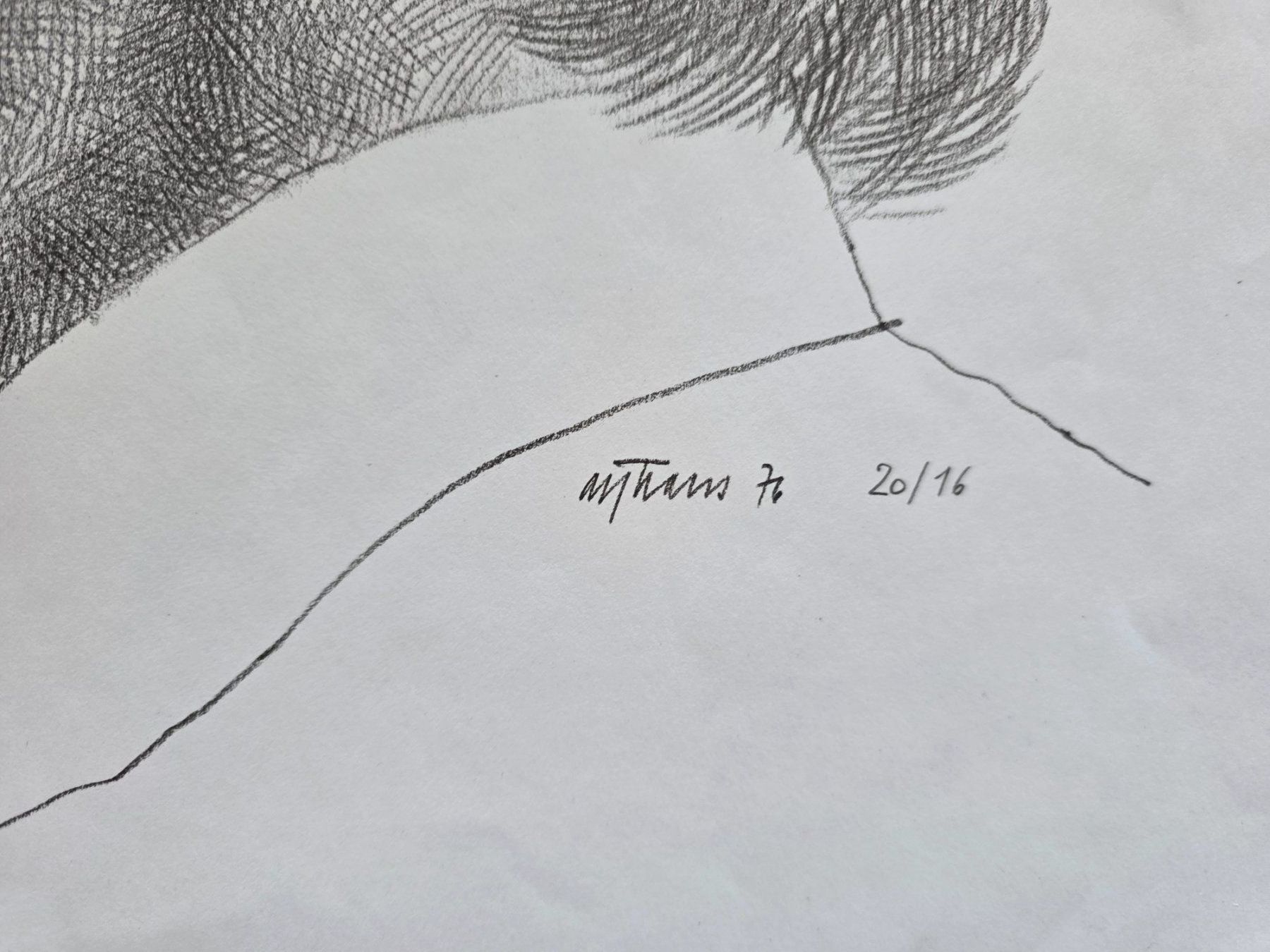 Grafica & Litografie: Blatt Bild - Lithographie 1976 signiert 20/16 – Usato da Walterswil BE venduto da Lonitti 2