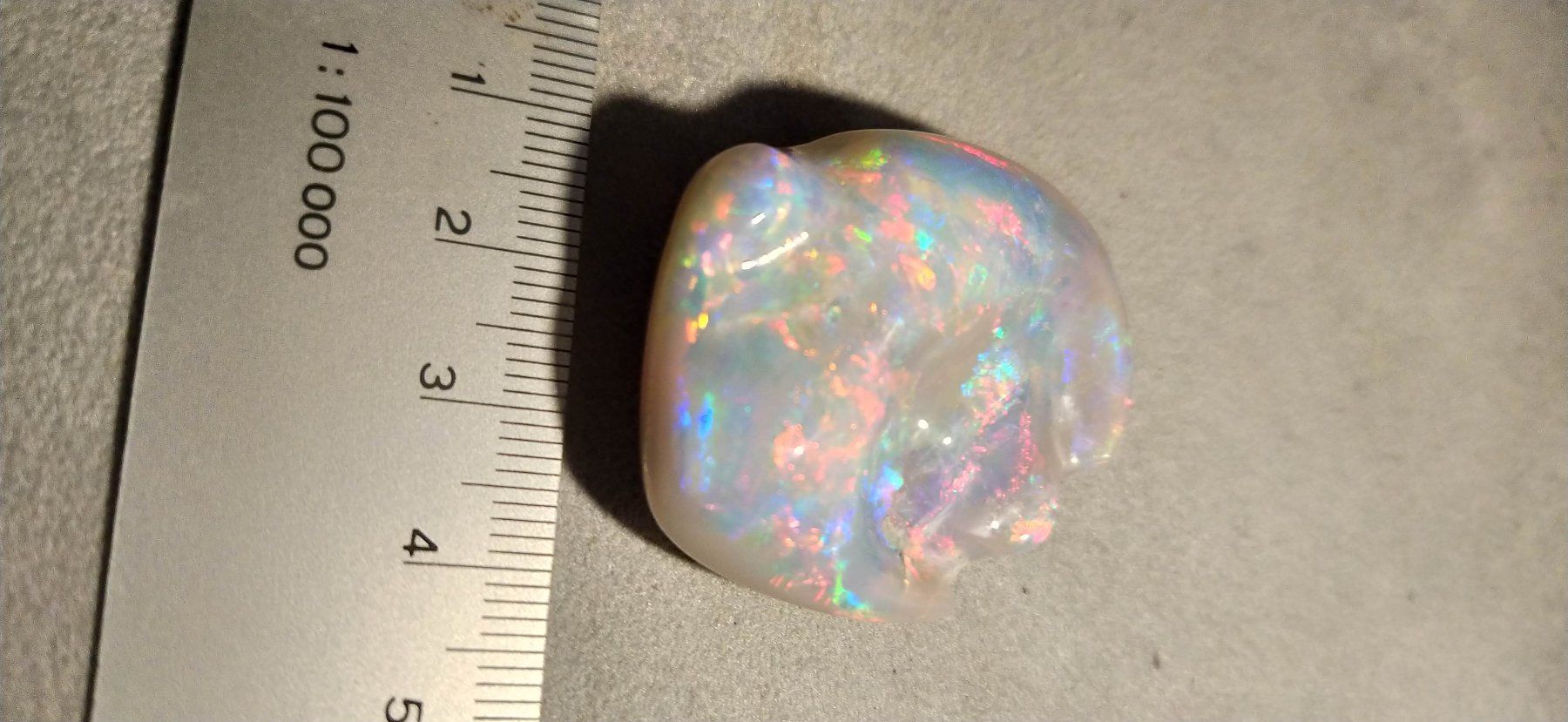 Fossili: Opalisierte Muschel – Nuovo (secondo la descrizione) da Dieterswil venduto da Opal66 1