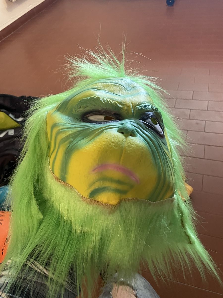 Maschere: Grinch Maske, Halloween – Usato da Uster venduto da chlini1983 1