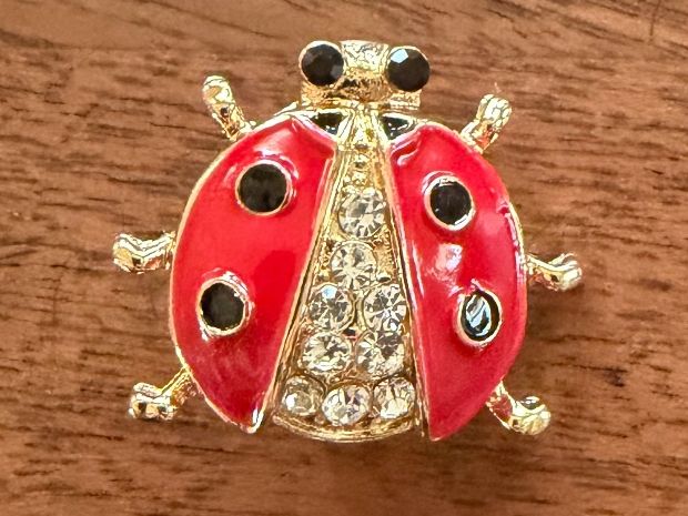 Spille & Fermagli: Hübsche Brosche Marienkäfer rot/goldig mit Strass – Nuovo (secondo la descrizione) da Gams venduto da Mariawicca