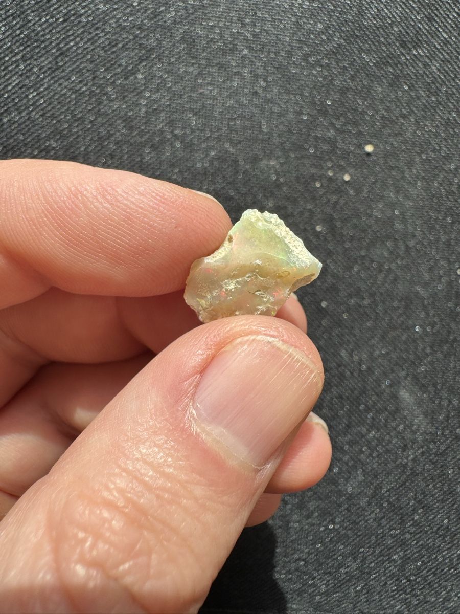 Pietre preziose: Äthiopischer Opal lot 78.5ct – Nuovo e nell'imballaggio originale da Wängi venduto da Horus90 1