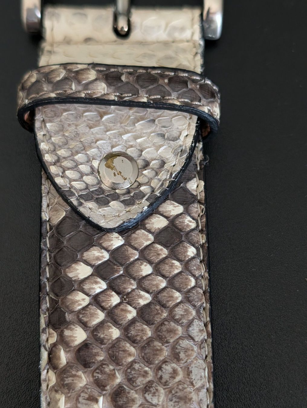 Cinture: Echt Python Leder Gürtel mit schöner Schnalle - Grösse 95cm – Usato da Herisau venduto da apo_bxx7 3