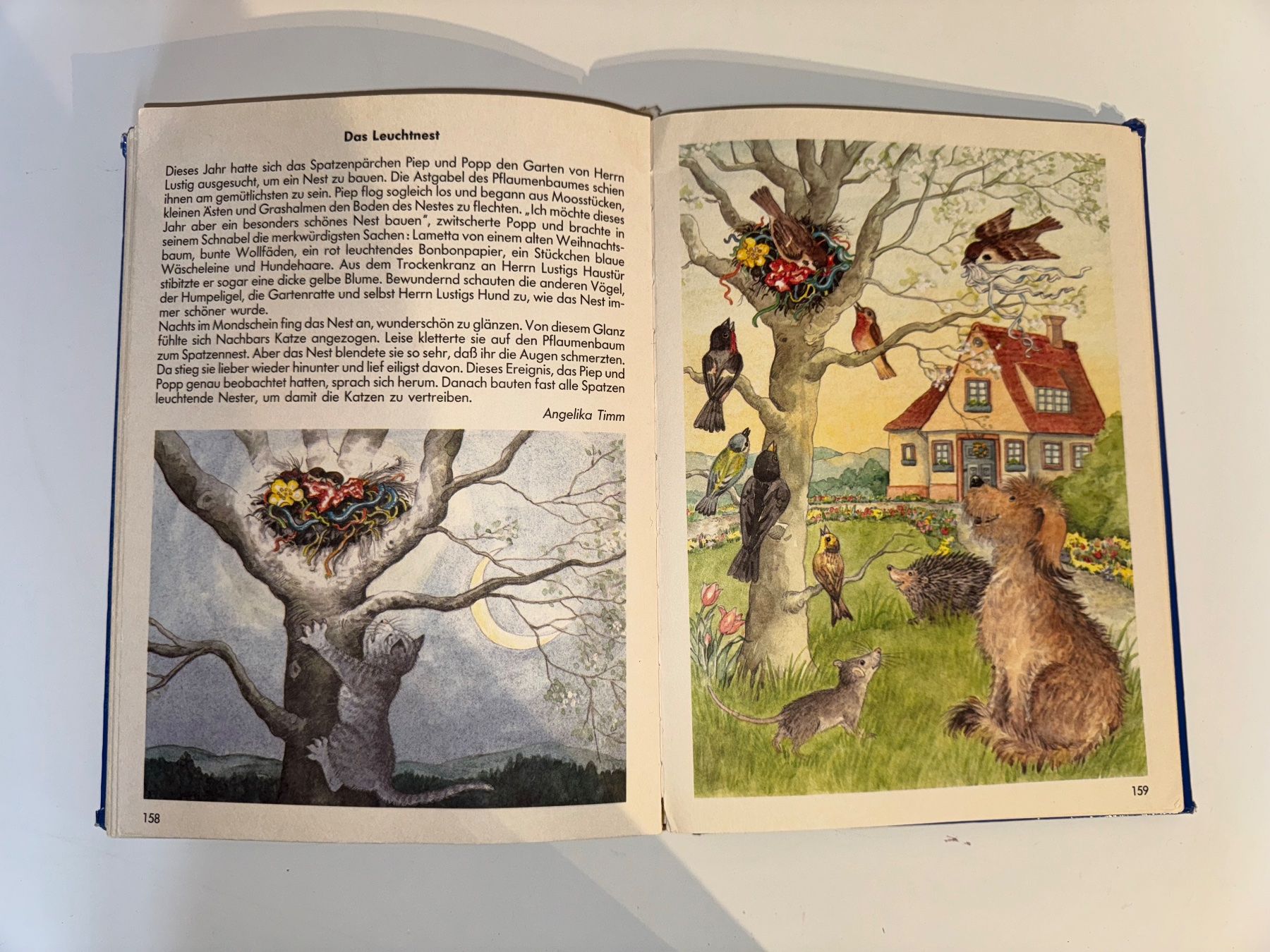 Libri: Buch: Die schönsten Schlummergeschichten – Usato da Grosswangen venduto da Second_hand_paradise 7