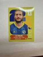 Panini FIFA Ivan Šunjic, BIH 11