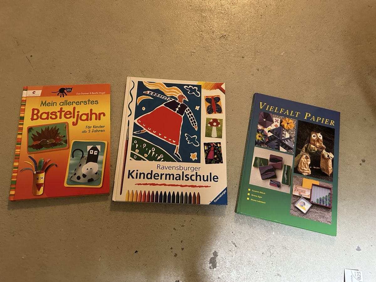 Bücher: 3 Bastelbücher – Gebraucht aus Adliswil von Hampa3
