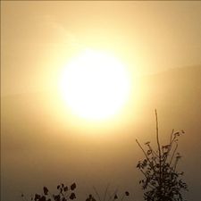 Profile image of _sunflow_