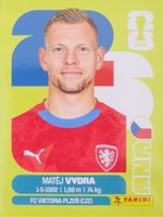 Panini FIFA World Cup CZE 15