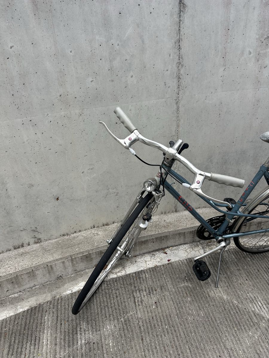Cilo Biciclette: Clio Damenvelo, Rahmengrösse ca. 50 cm ab 1.- – Difettoso da Liestal venduto da forty-four_shop 1