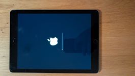 Apple Ipad 6th Gen 32GB