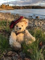 Lot de deux ours STEIFF Scottish teddies