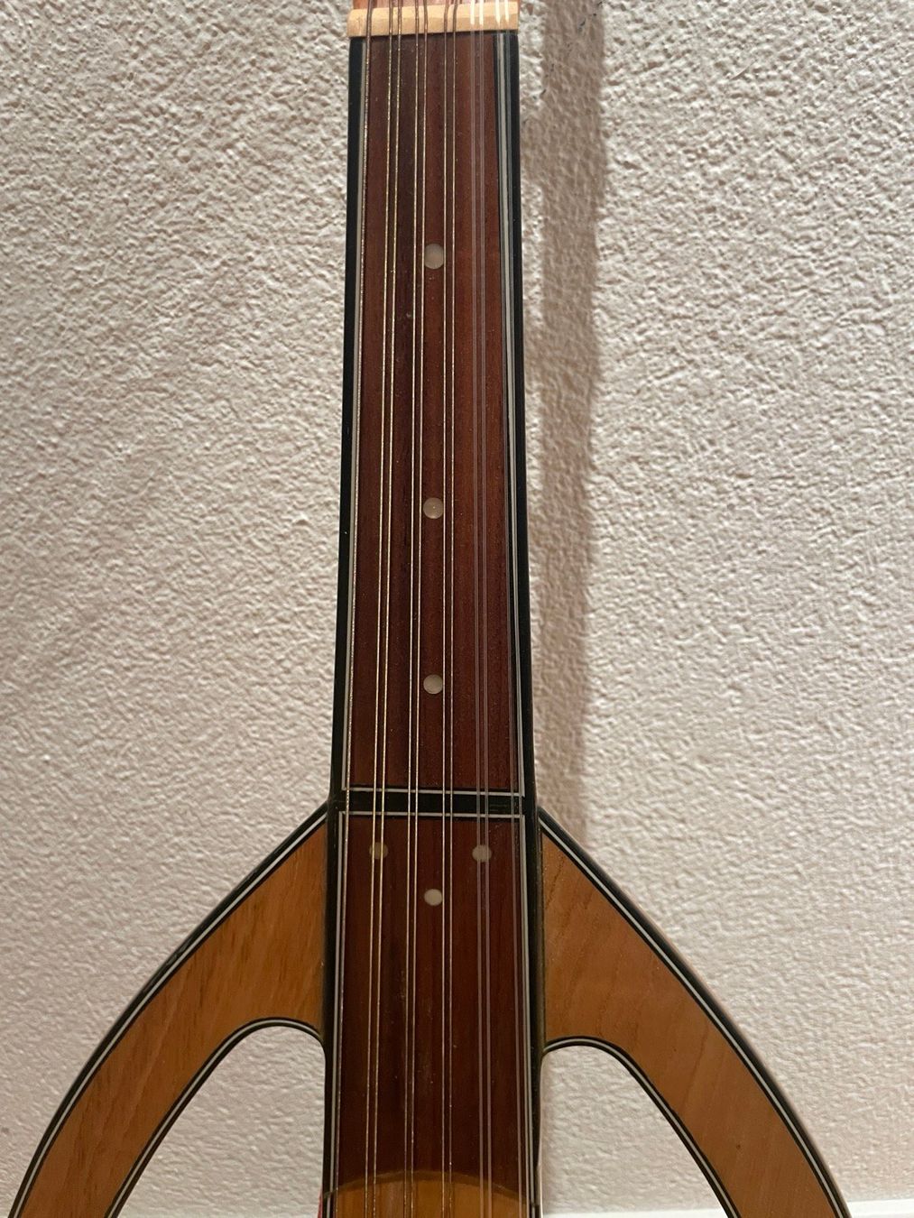Instruments de musique: Elektrische Oud von Saz – D'occasion à Zürich par tec_x6p8 8