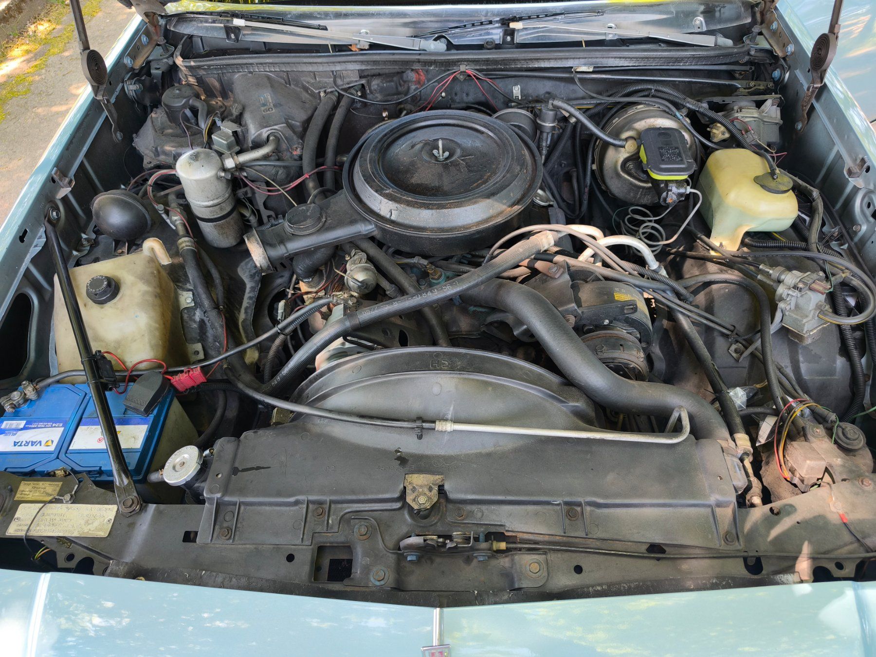 Oldsmobile Automobili: Oldsmobile Cutlass Cruiser 1979 5.0 V8 Oldtimer ab 1 Fr. – Usato da Neuhausen am Rheinfall venduto da thedrush 7