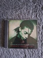 TERENCE TRENT D'ARBY   INTRODUCING THE HARDLINE ACCORDING CD