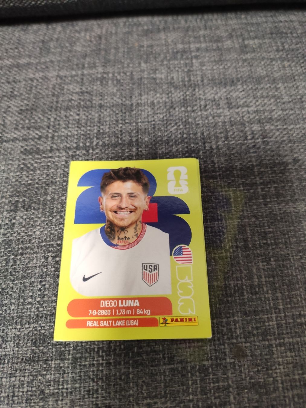 Panini Sammelbilder & Trading cards: panini USA 14 – Gebraucht aus Ettenhausen TG von danielhoop