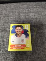 panini USA 14