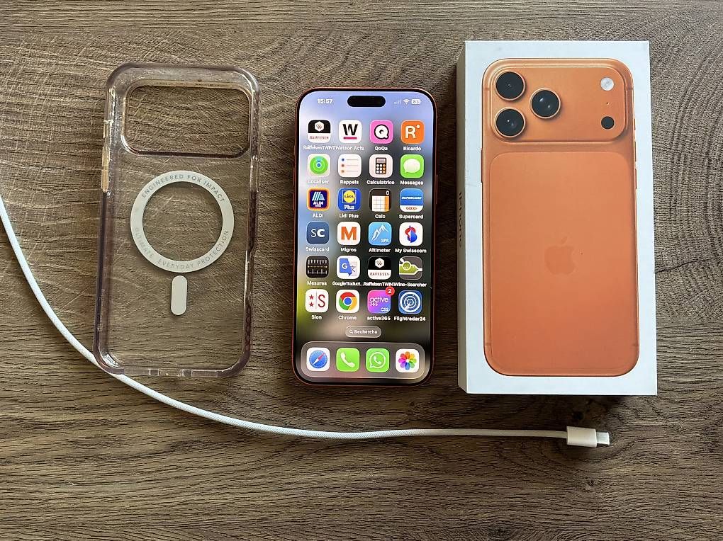 Handys / Smartphones: IPhone pro Max 17  – Gebraucht aus Arvillard (Salins) von Taniguchi