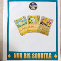 🐑 Mareep (Voltilamm) Ampharos Linie komplett [EN] *NM*
