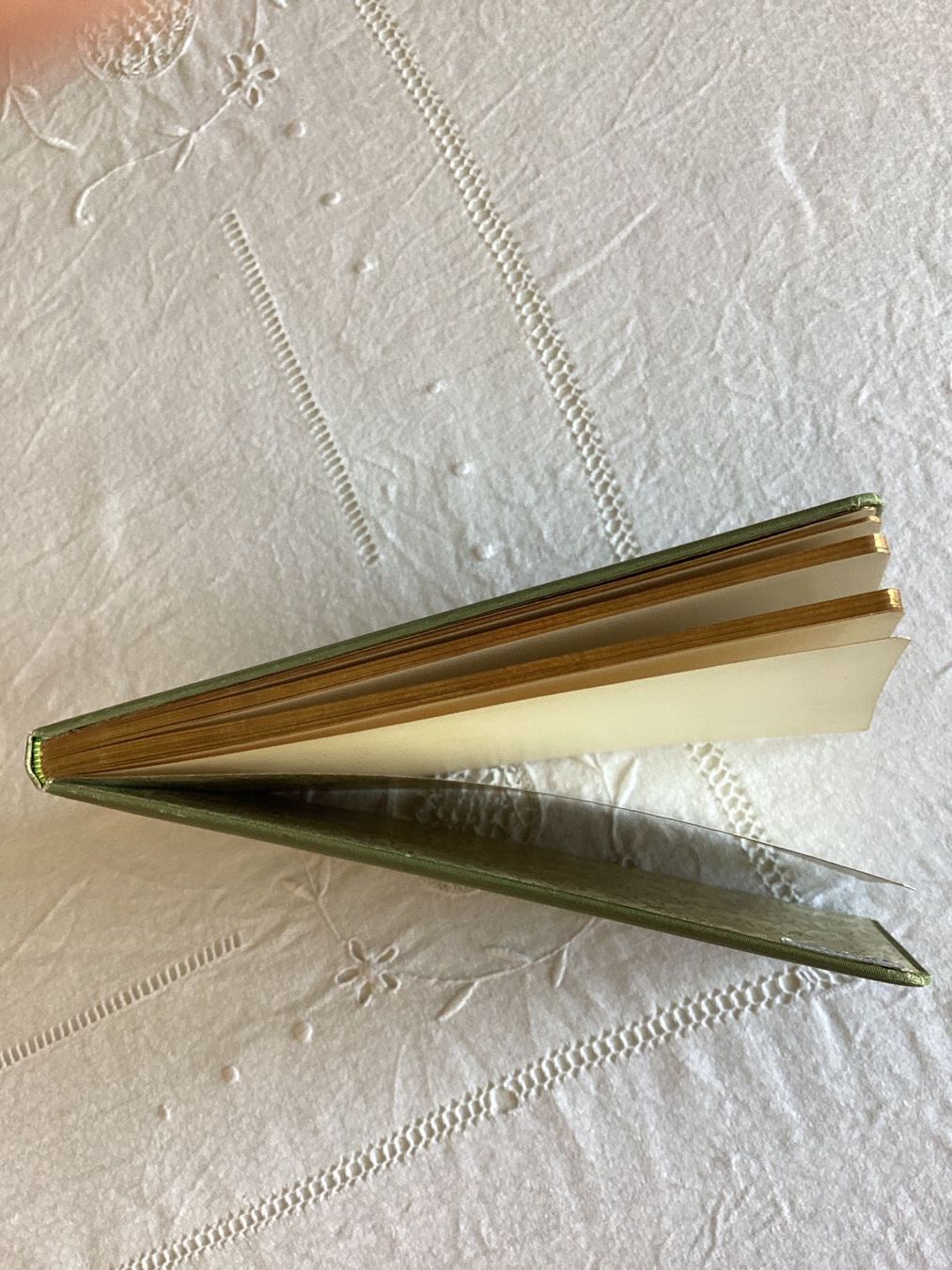 Libri: Anciens carnets vintages vierges – Usato da Pully venduto da claddagh 5