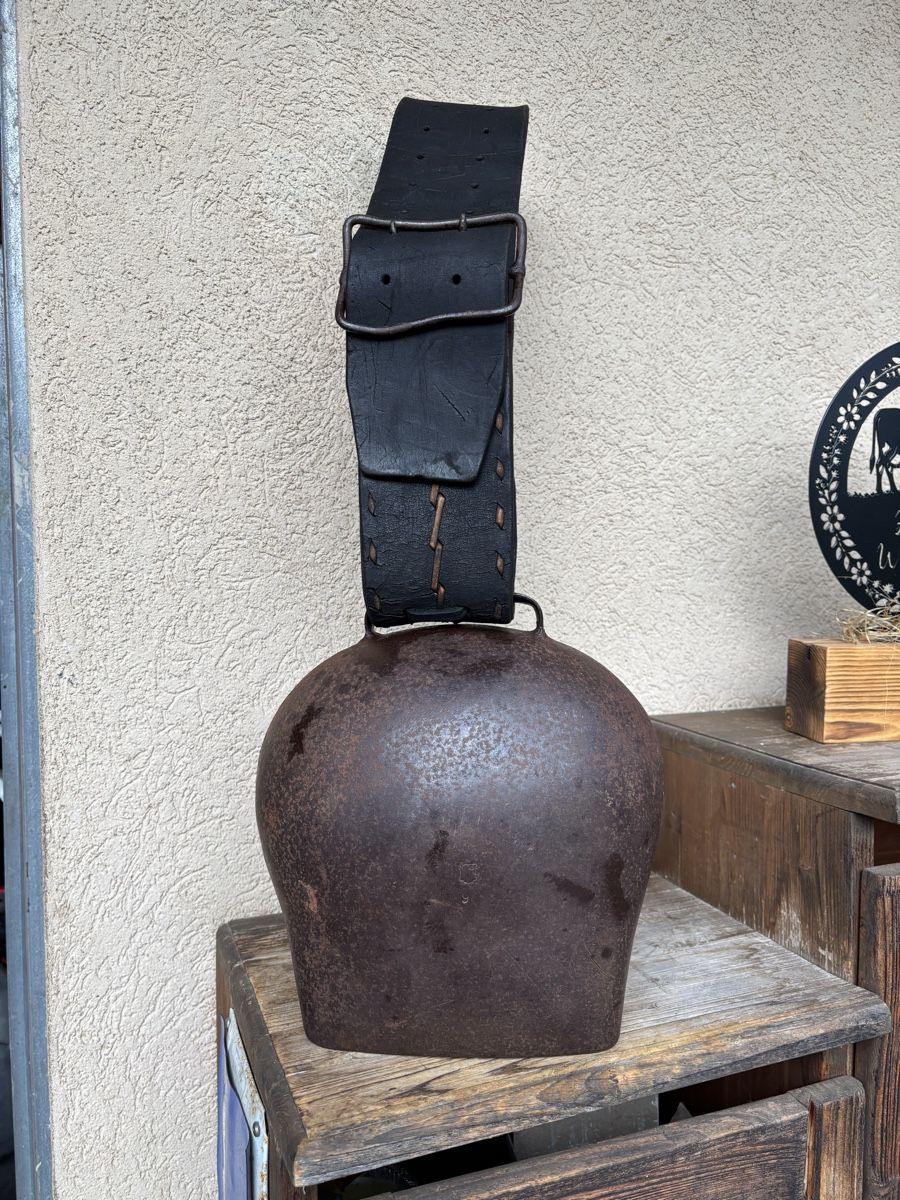 Campanacci mucche: Gothardt NR 9. – Difettoso da Schangnau venduto da Roseggli82