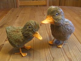2 herzige Enten/Naturmaterialien(Ostern)