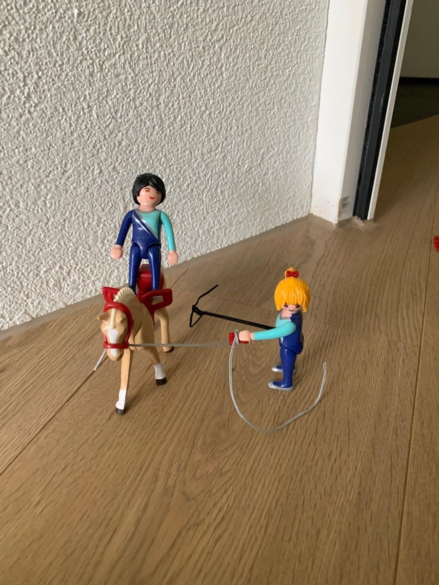 Playmobil Giocattoli: Playmobil Voltigier Set 6933 – Usato da Riedholz venduto da Elch121 2