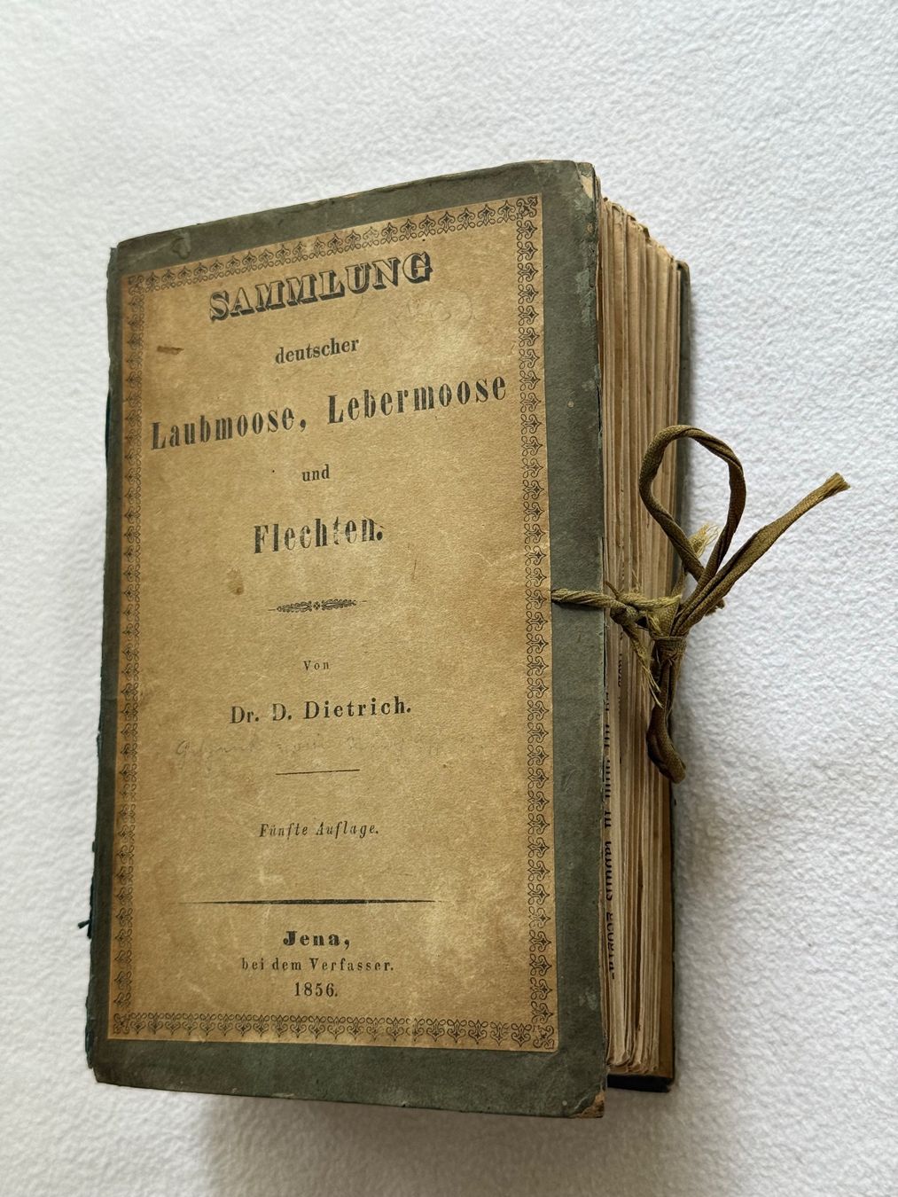 Libri: Antikes Herbarium von 1856 – Usato da Bern venduto da xberg36 1