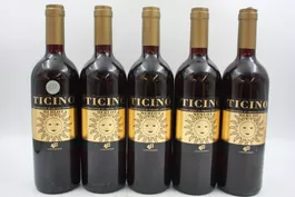 5x Ticino Merlot Sole 2023 Rotwein (26091099Z)