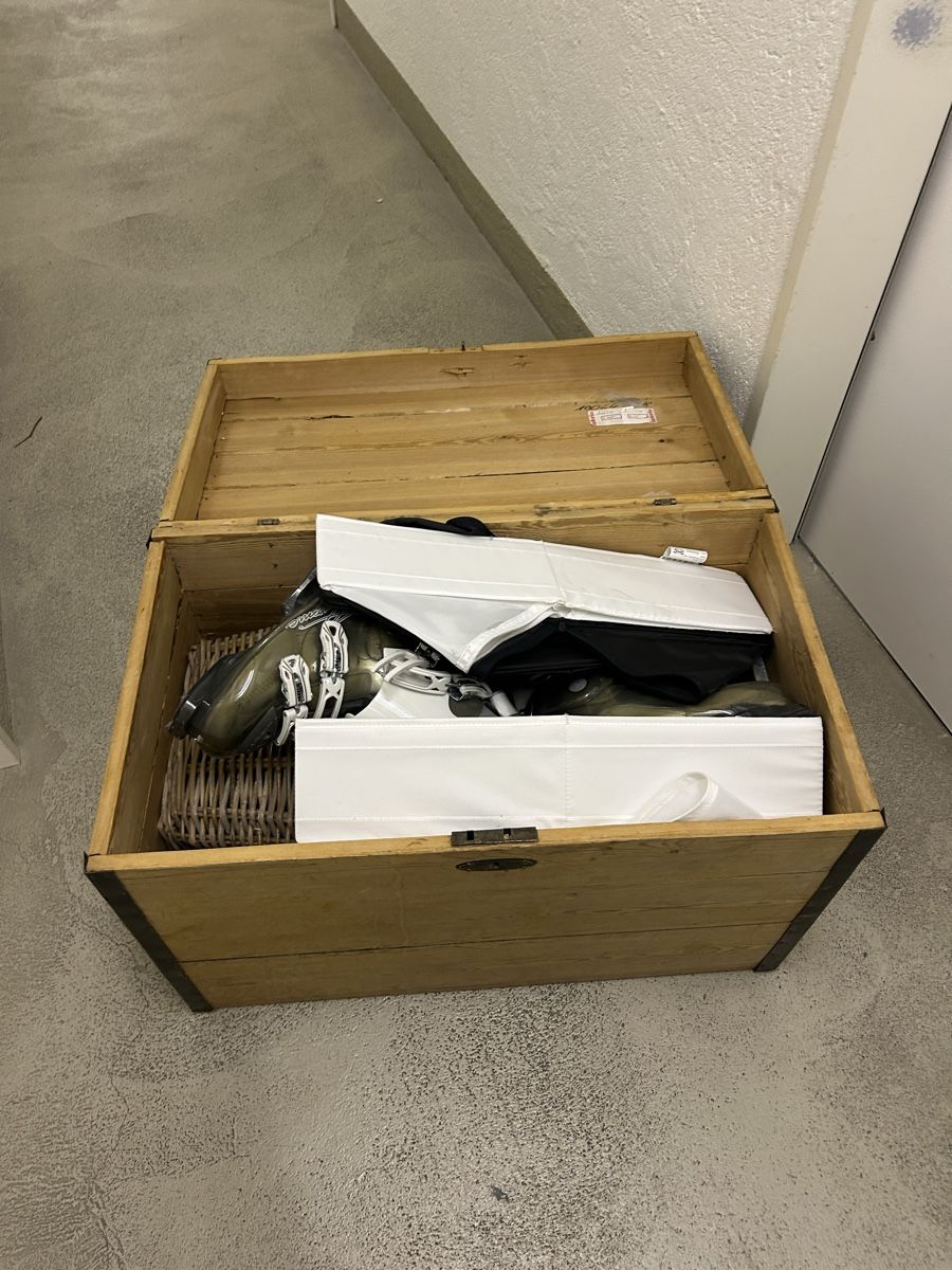 Cassapanche: Truhe Antik – Usato da Zürich venduto da Nick345 2