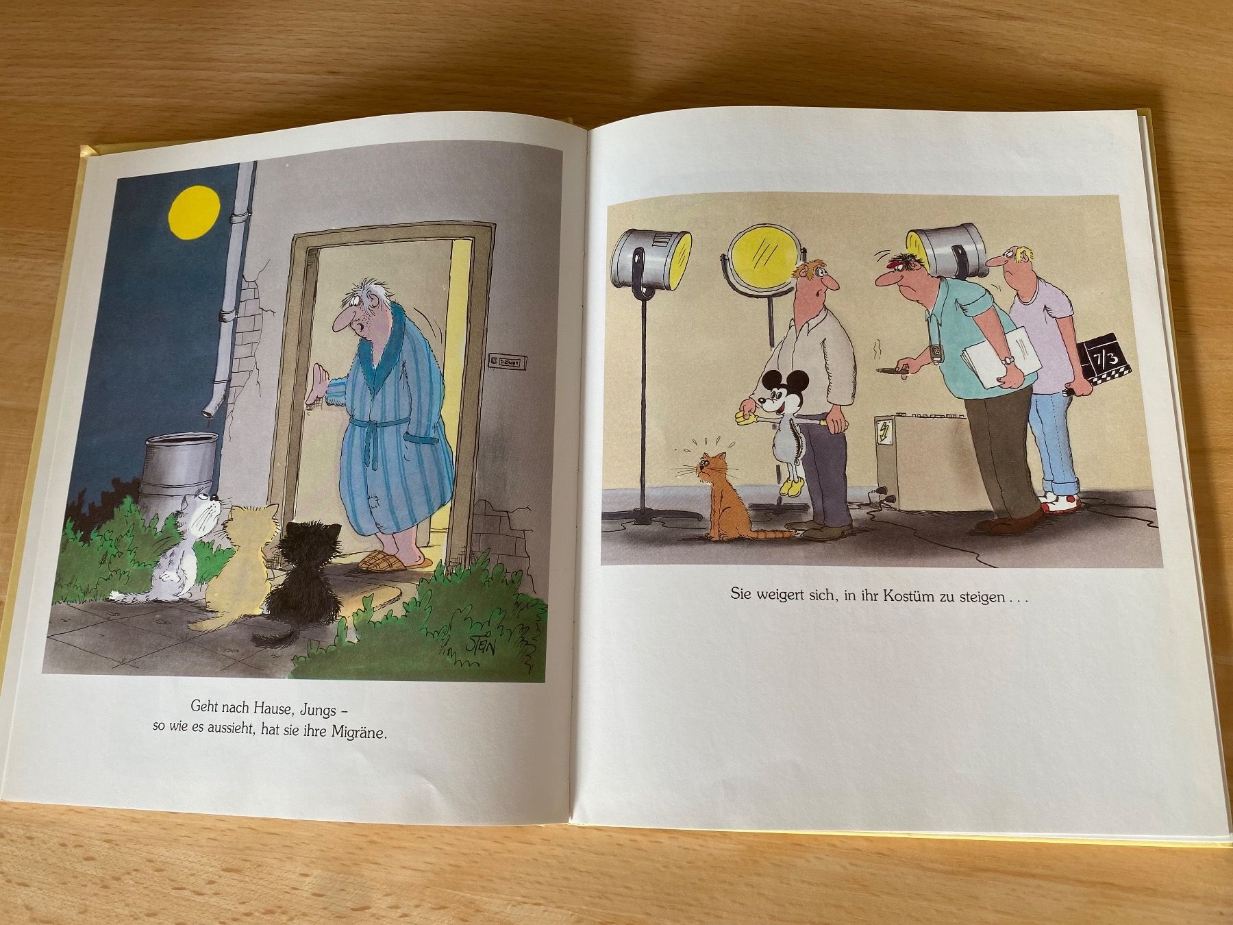 Libri: 5 lustige Comics Bücher von Uli Stein/Lappan – Usato da Schwarzenburg venduto da Michellu 5
