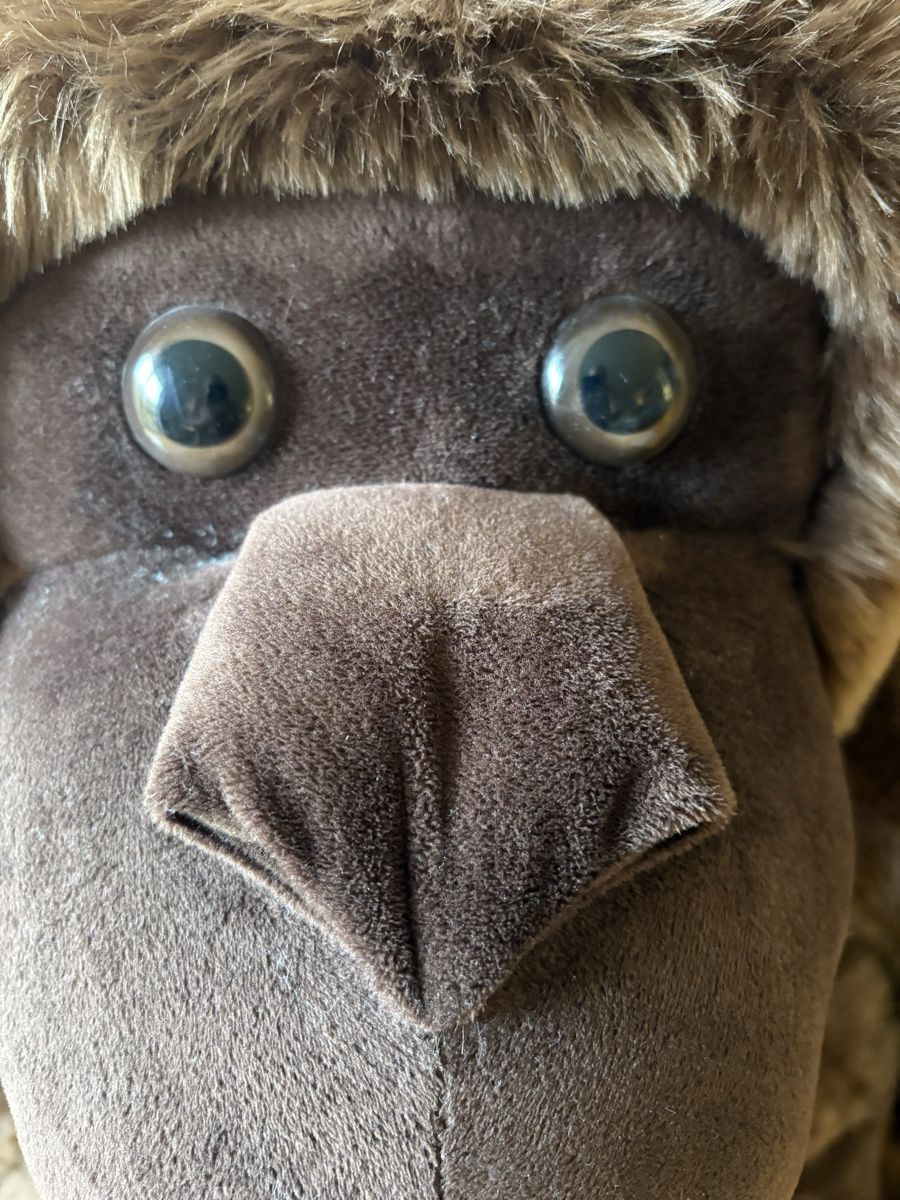 Jouets: Grand gorille en peluche – D'occasion à Bellevue par Fas05 1
