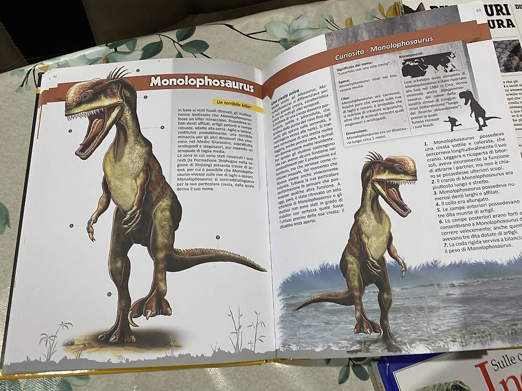 Libri: 7 libri dinosauri + libro draghi + libro puzzle – Usato da Castel San Pietro venduto da sab_lj2d 1