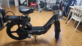 Cooler Piaggio Ciao Vario