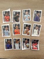 Alle 12 WM 26 Panini Cola Sticker
