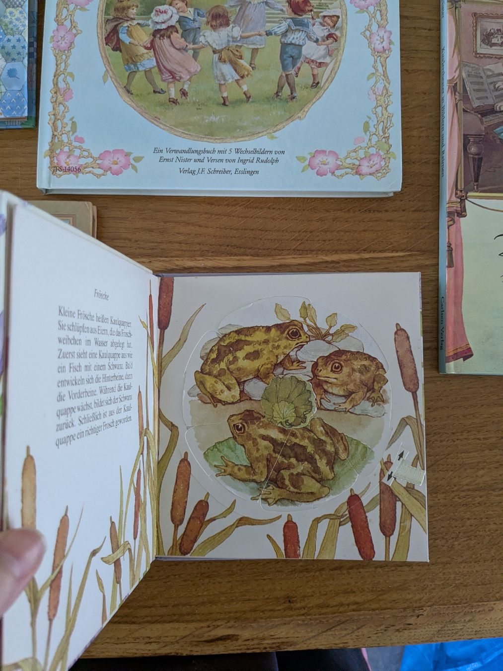Libri: 9 ältere Kinderbücher-Sammlung: Pop-up und Karussell – Usato da Wohlen AG venduto da merkur0300 5