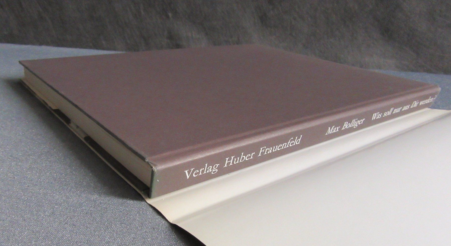 Libri: Was soll nur aus Dir werden - Sechs Lebensbilder – Usato da Auenstein venduto da Padabimbim 8